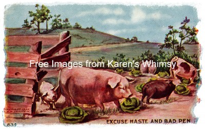 Farm Pigs 5 - Pigs among the Cabbage
