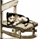 Funny Cat Pictures 2 - Lazy Cat on a Chair