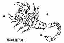 Astrological Signs 2 - Scorpio