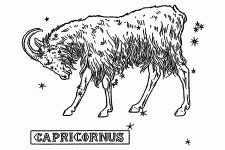 Astrological Signs 4 - Capricorn