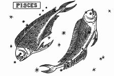 Astrological Signs 6 - Pisces