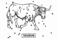 Astrological Signs 7 - Taurus