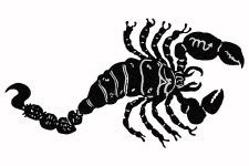 Zodiac Symbols 3 - Scorpio