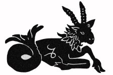 Zodiac Symbols 7 - Capricorn