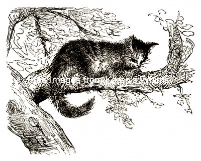 Cat Clipart 5 - Resting in an Apple Tree
