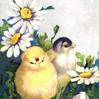 Easter Chicks Clipart