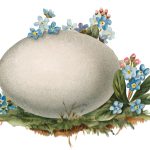 Easter Egg Images 2