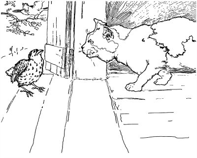 Kitten Coloring Pages 4 - A Kitten Meets a Bird