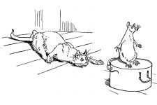 Cat Coloring Pages 1 - Sneaky Cat