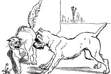 Cat Coloring Pages 5 - Dog Corners a Cat
