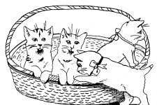 Cat Coloring Pages 6 - Kittens in a Basket