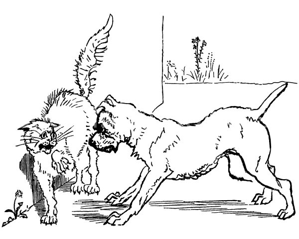 Cat Coloring Pages 5 - Dog Corners a Cat