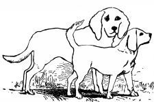 Dog Coloring Pages 5