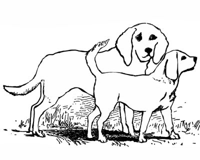 Dog Coloring Pages 5