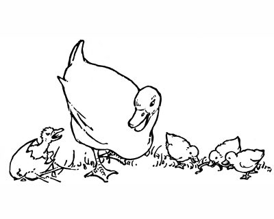 Duck Coloring Pages 1