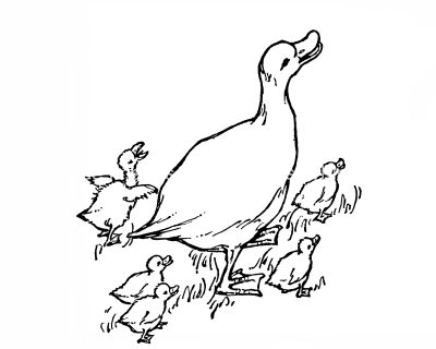 duck and duckling coloring pages