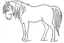 Free Horse Coloring Pages 4