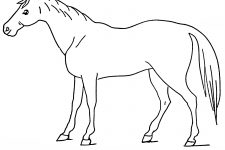 Free Horse Coloring Pages 6