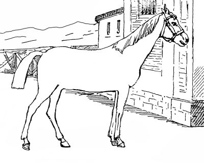 Free Horse Coloring Pages 1