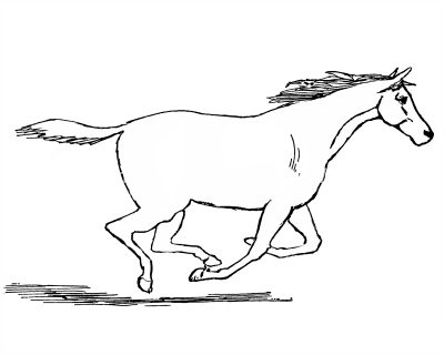 Free Horse Coloring Pages 7
