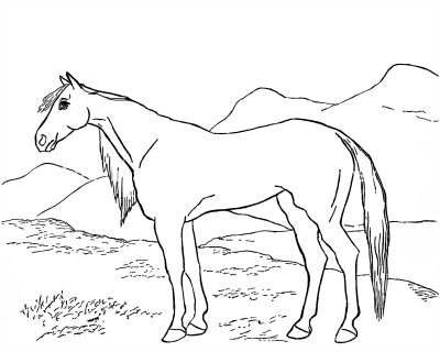 Free Horse Coloring Pages 8