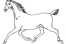 Horse Coloring Pages 8