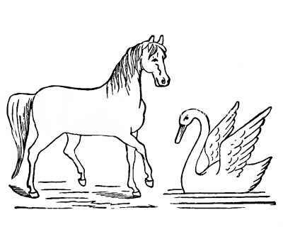 Horse Coloring Pages 7
