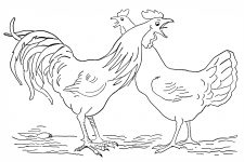Farm Animal Coloring Pages 1