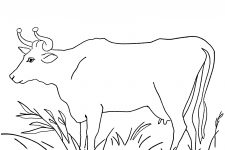 Farm Animal Coloring Pages 3