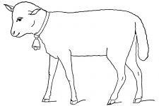 Farm Animal Coloring Pages 4