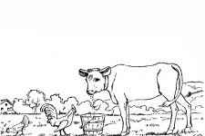 Farm Animal Coloring Pages 5