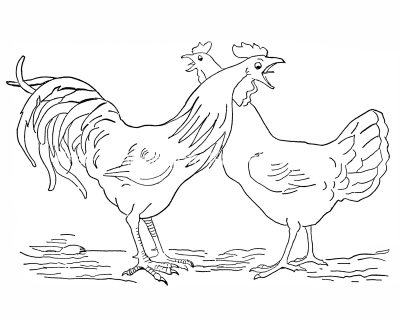 Farm Animal Coloring Pages 1