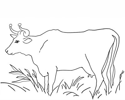 Farm Animal Coloring Pages 3