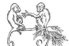 Monkey Coloring Pages 2