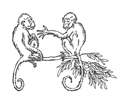 Monkey Coloring Pages 2