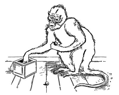 Monkey Coloring Pages 4