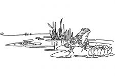 Frog Coloring Pages 3