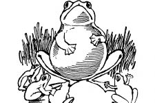 Frog Coloring Pages 4