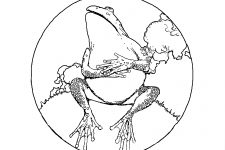 Frog Coloring Pages 8