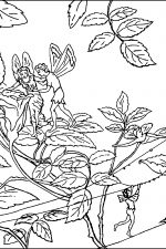 Fairy Coloring Pages 4