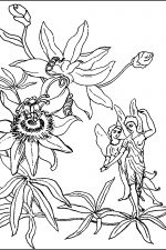 Fairy Coloring Pages 6