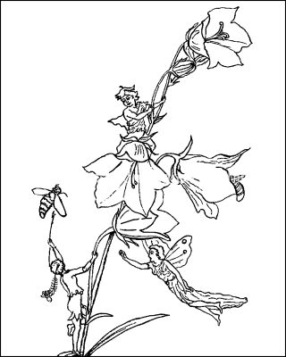 Fairy Coloring Pages 5
