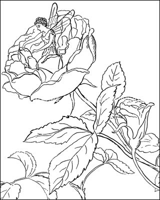 Free Coloring Pages of Fairies 6
