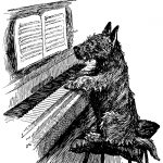 Funny Dog Pictures 3 - Scotty Practices Piano