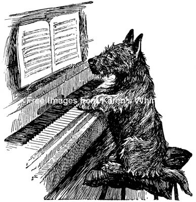 Funny Dog Pictures 3 - Scotty Practices Piano