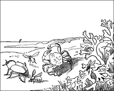 Ocean Coloring Pages 2