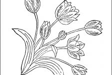 Flower Coloring 7