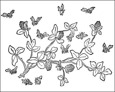 Flower Coloring 2