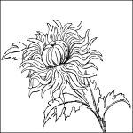 Flower Coloring Pages 2