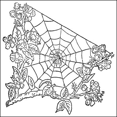 Flower Coloring Pages 4